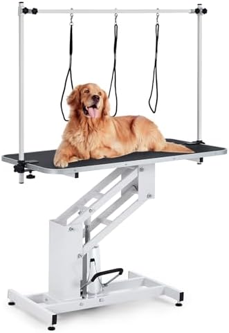 43 Inch Hydraulic Dog Grooming Table by Unknown