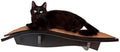 Arf Pets Cat Shelf, Wall-Mounted Desined Wooden Cat Perch by ArfPets
