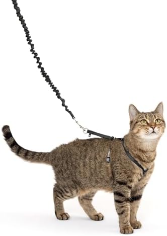 PetSafe Come With Me Kitty Harness and Bungee Leash, Harness by PetSafe