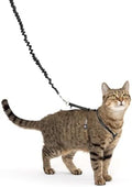 PetSafe Come With Me Kitty Harness and Bungee Leash, Harness by PetSafe