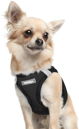 rabbitgoo Step-in Small Dog Harness, Puppy Vest by rabbitgoo