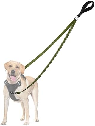 PetBonus Two Point Control Dog Leash, No Tangle Training Walking Leashes by Petbonus