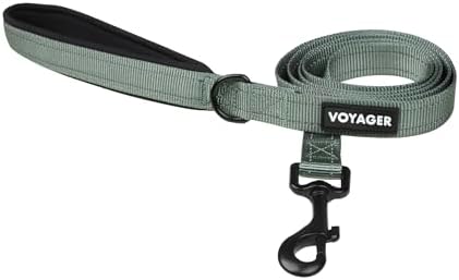 Best Pet Supplies Voyager Nylon Dog Leash by BestPetSuppliesLLC