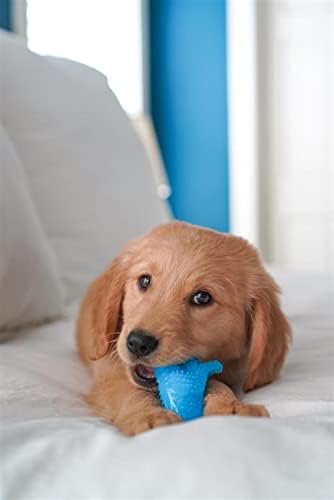 Nylabone Puppy Chew Dental Dinosaur Dog Chew Toy, Chicken Flavor - Image 2