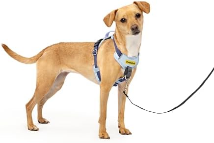 PetSafe Easy Walk Comfort No Pull Dog Harness, Extra Small by PetSafe