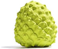 MewaJump Dog Chew Toys, Rubber Dog Toys Squeaky Toys by MEWAJUMP