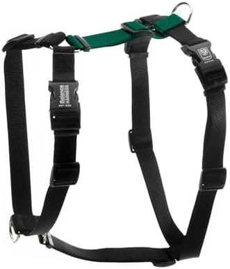 Blue-9 Balance Harness® for Dogs, Buckle-Neck, Hunter Green by Blue-9