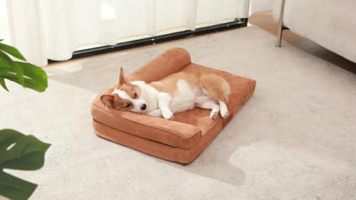 Rainmr Microsuede Dog Bed Orthopedic Washable - Image 2