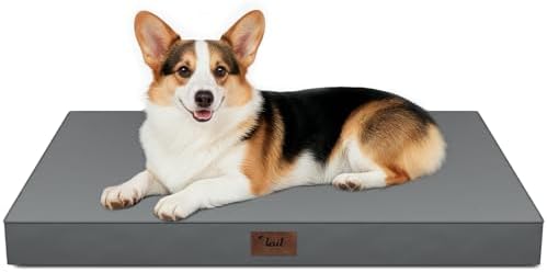 Outdoor Waterproof Orthopedic Dog Bed by TailStories