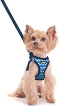 rabbitgoo Dog Harness Small Sized and Leash Set, Step-in Puppy Pet Vest by rabbitgoo