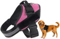 Dogshood No Pull Harness, Dogshood Harness by HuayoRong
