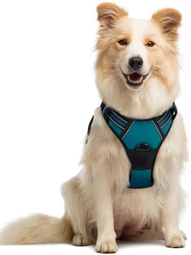 rabbitgoo Dog Harness, No Pull Medium Sized by rabbitgoo