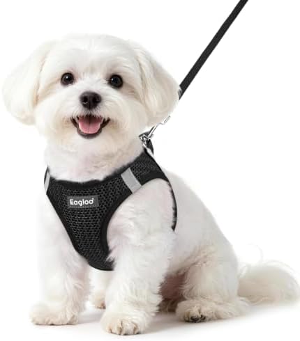 Eagloo Small Dog Harness and Leash Set, Step in Small Sized Puppy Pet Vest by GoExplorewithEagloo