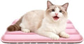 Dog Bed Mat, Reversible Dog Crate Pad by FogkissComfyPawsHome