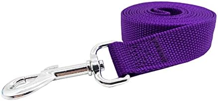 Nylon Dog Training Leash, Traction Rope, 4/5/6 Feet Long, 3/4 Inch 1 Inch Wide - Image 2