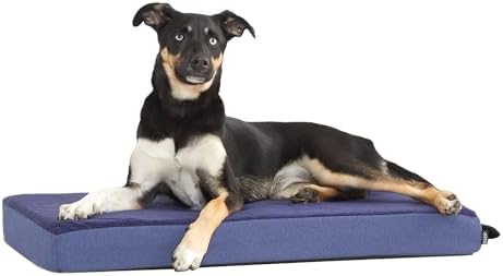 BarkBox Orthopedic Dog Bed by BARK