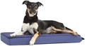 BarkBox Orthopedic Dog Bed by BARK