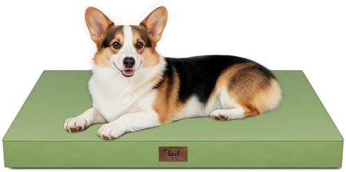 Outdoor Waterproof Orthopedic Dog Bed by TailStories