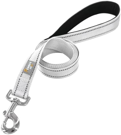 6 FT Basic Dog Leash for Small Dogs - Image 2