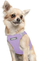 rabbitgoo Step-in Small Dog Harness, Puppy Vest by rabbitgoo