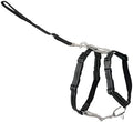 PetSafe 3 in 1 No-Pull Dog Harness by PetSafe