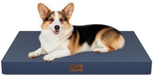 Outdoor Waterproof Orthopedic Dog Bed by TailStories