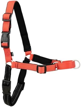 PetSafe Deluxe Easy Walk Harness, Medium/Large, Rose Red by PetSafe