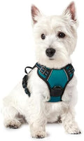 rabbitgoo Dog Harness, No Pull for Small Dogs by rabbitgoo