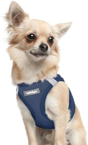 rabbitgoo Step-in Small Dog Harness, Puppy Vest by rabbitgoo