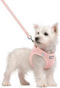 rabbitgoo Dog Harness Small Sized and Leash Set, Step-in Puppy Pet Vest by rabbitgoo