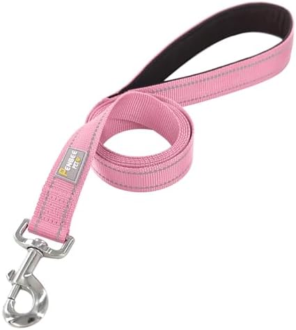 6 FT Basic Dog Leash for Small Dogs - Image 2
