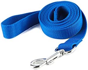 Nylon Dog Training Leash, Traction Rope, 4/5/6 Feet Long, 3/4 Inch 1 Inch Wide by TAIDA