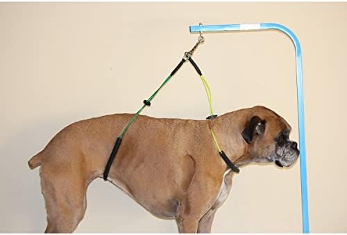 Downtown Pet Supply No Sit Haunch Holder - Image 2