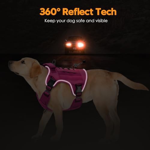 Bruvoalon Heavy-Duty Tactical Dog Harness - Image 5