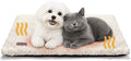 Mora Pets Self Warming Cat Beds by MoraPets