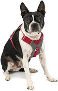 Kurgo Journey Air Dog Harness by Kurgo