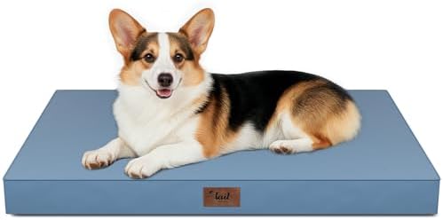 Outdoor Waterproof Orthopedic Dog Bed by TailStories
