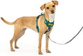 PetSafe Easy Walk Comfort No Pull Dog Harness, Extra Small by PetSafe