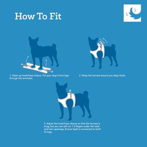 RC Pet Products Cirque Soft Walking Step-in Dog Harness, Pineapple Parade - Image 4