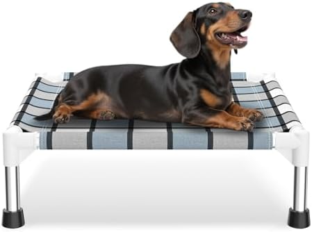 Caghash Elevated Outdoor Raised Dog Bed, Lifted Dog Cot by Unknown