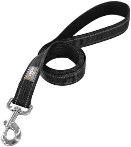 6 FT Basic Dog Leash for Small Dogs - Image 2