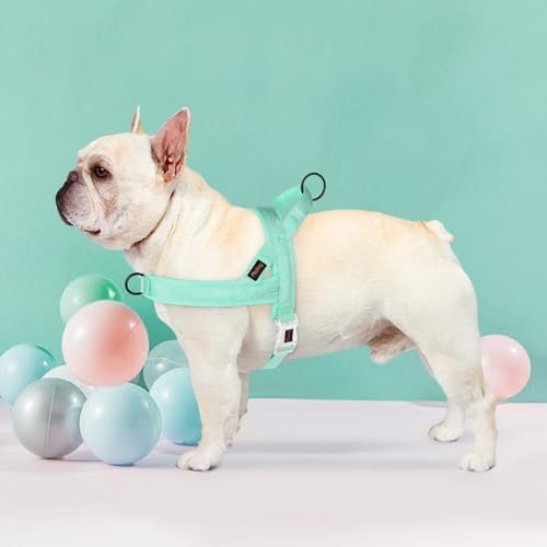 Didog No Pull Dog Harness with Breathable Mesh Padded, Quick Fit & Easy on Dog - Image 2
