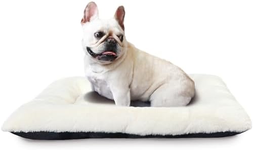 Small Dog Bed for Crate 24 x 18 Ultra Soft Crate Pads for Dog Cages Washable & by ZihapgpzpPetSupplies