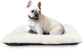 Small Dog Bed for Crate 24 x 18 Ultra Soft Crate Pads for Dog Cages Washable & by ZihapgpzpPetSupplies