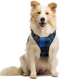 rabbitgoo Dog Harness, No Pull Medium Sized by rabbitgoo