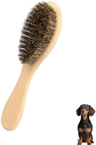 Soft Boar Bristle Dog Brush for Short Haired, Ideal Pet Hair Brush by PetJoyHaven