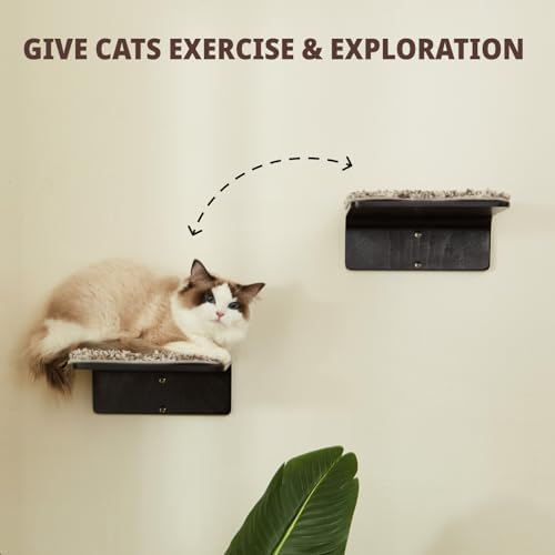 LIORCE 2 Set Cat Wall Steps - Image 2