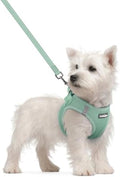 rabbitgoo Dog Harness Small Sized and Leash Set, Step-in Puppy Pet Vest by rabbitgoo
