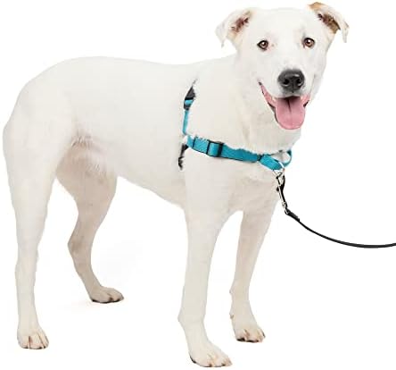 PetSafe Easy Walk Deluxe Dog Harness, No Pull Dog Harness – Perfect by PetSafe