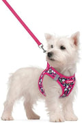 rabbitgoo Dog Harness Small Sized and Leash Set, Step-in Puppy Pet Vest by rabbitgoo